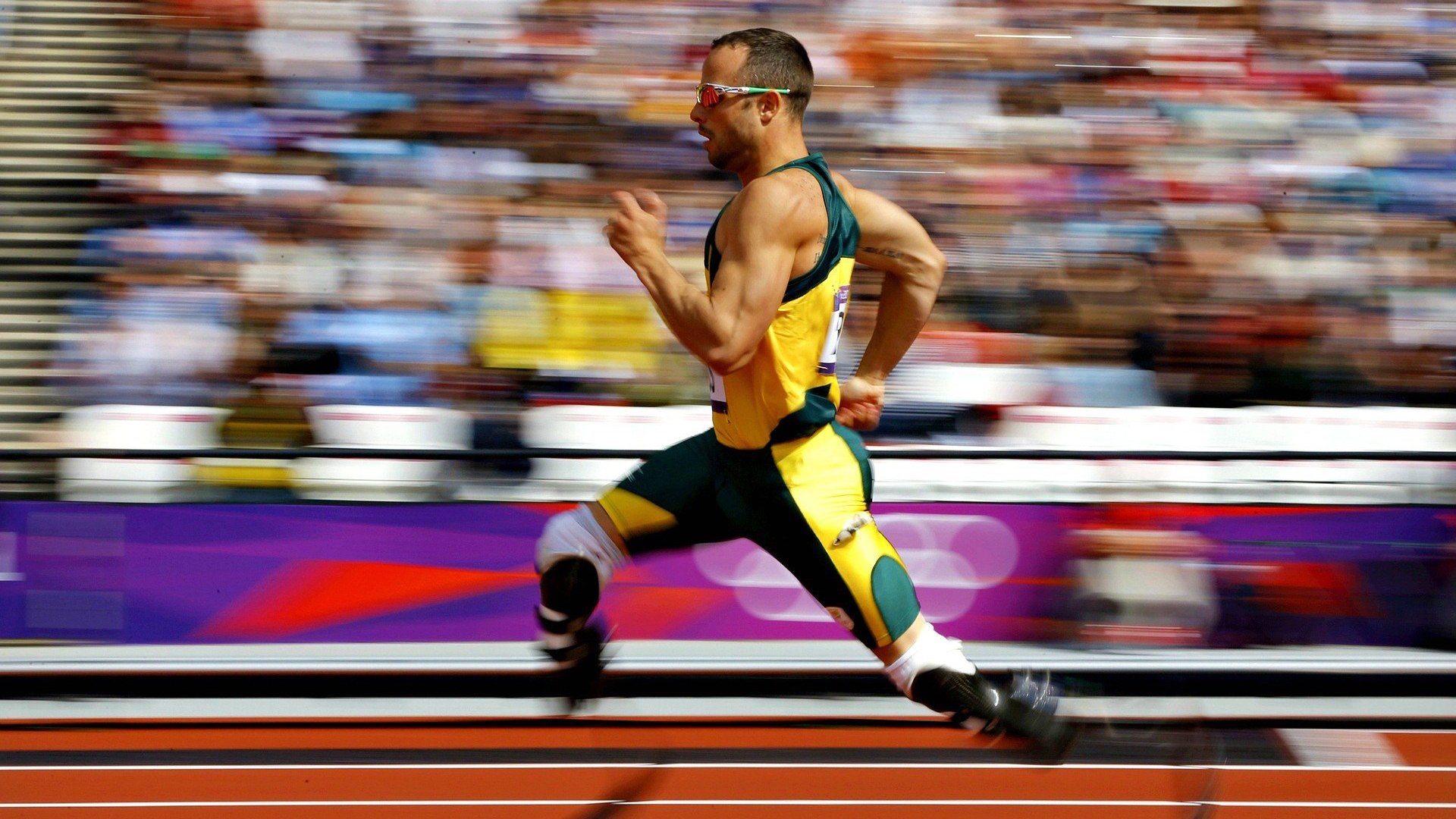 猛龙铁链难锁孤星，布伦森完美演出照亮麦迪逊